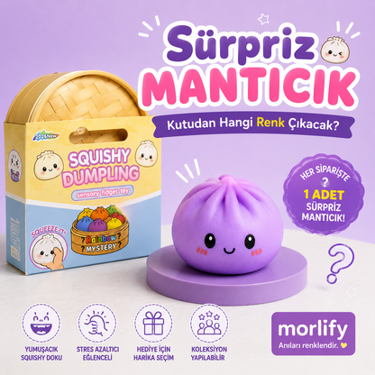 Sürpriz Mantıcık