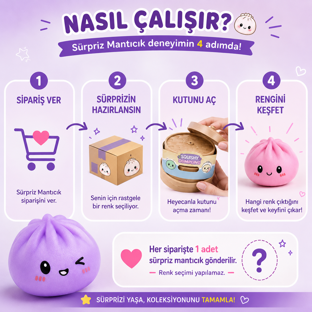 Sürpriz Mantıcık