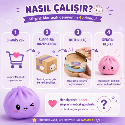 Sürpriz Mantıcık